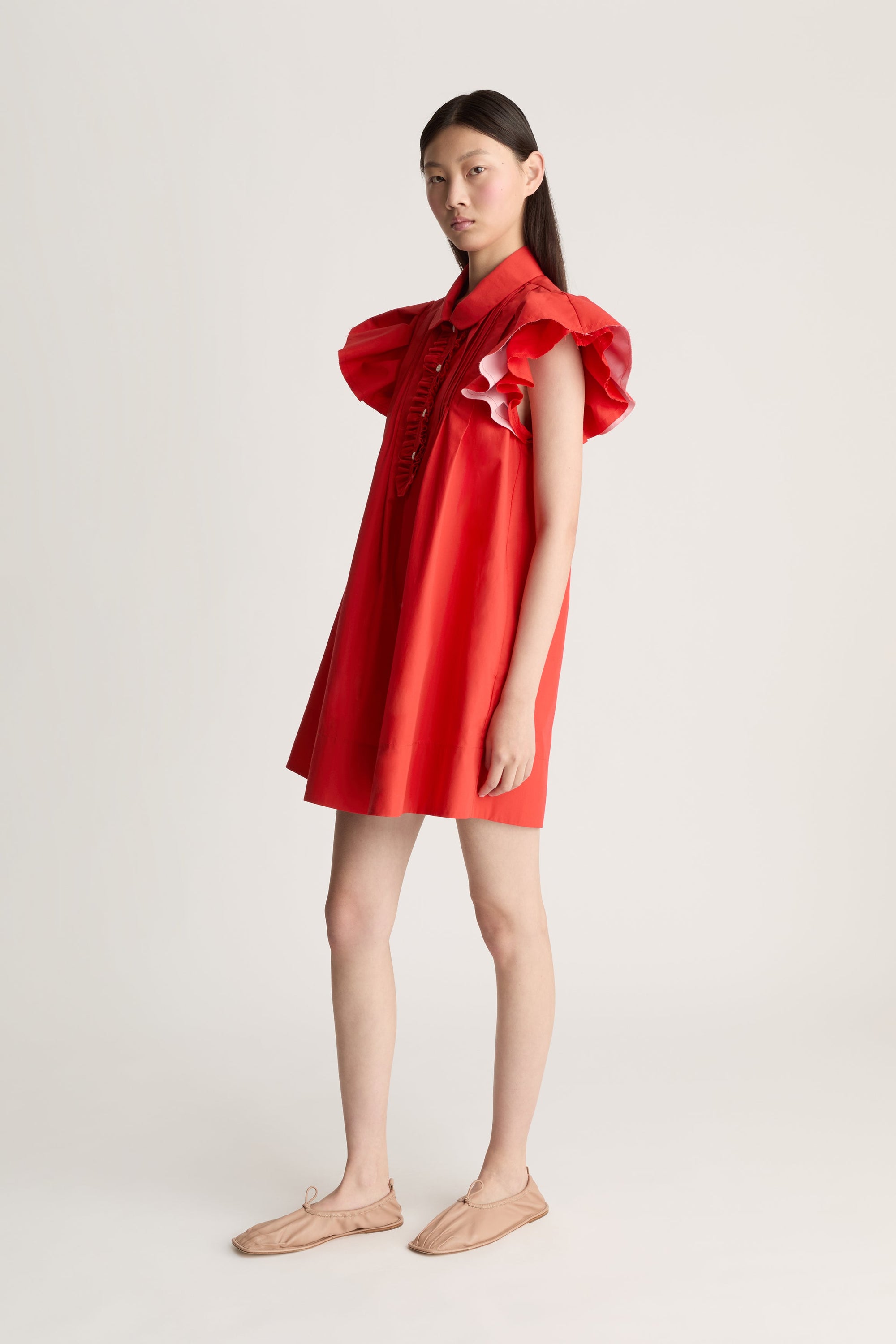 Charlotte Mini Dress