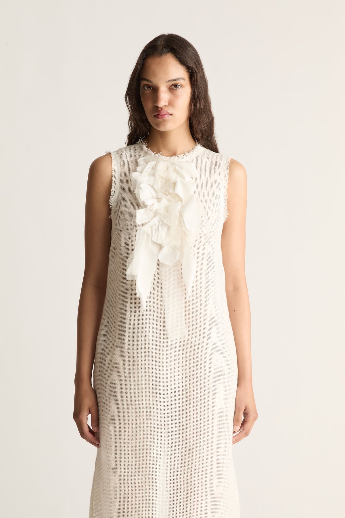 Paris Rosette Dress